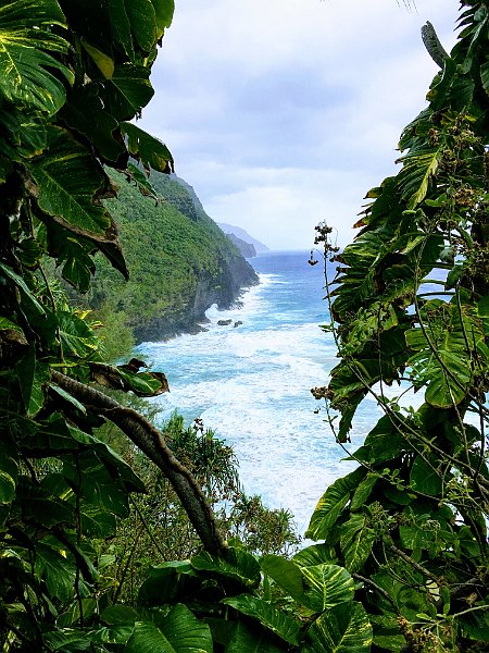 Kauai Hawaii
